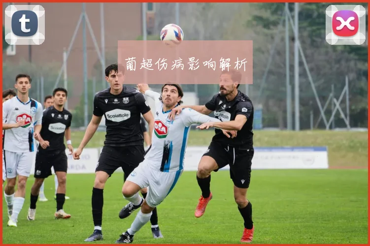 葡超伤病影响解析