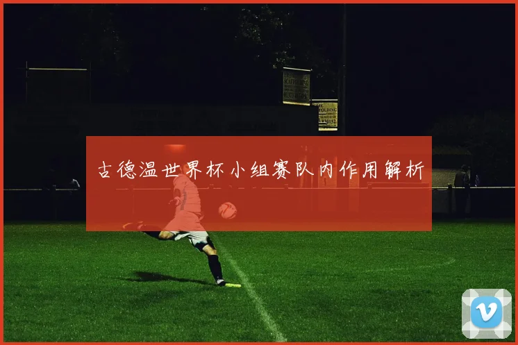 古德温世界杯小组赛队内作用解析