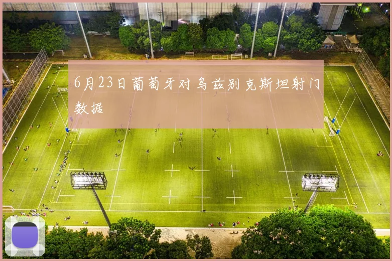 6月23日葡萄牙对乌兹别克斯坦射门数据