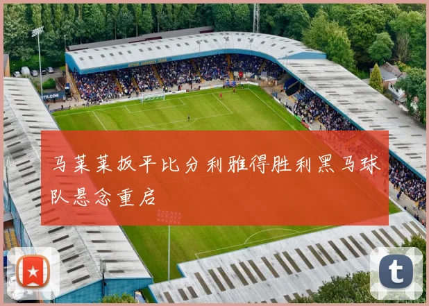 马莱莱扳平比分利雅得胜利黑马球队悬念重启