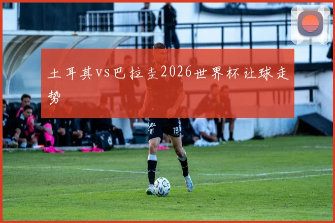 土耳其vs巴拉圭2026世界杯让球走势