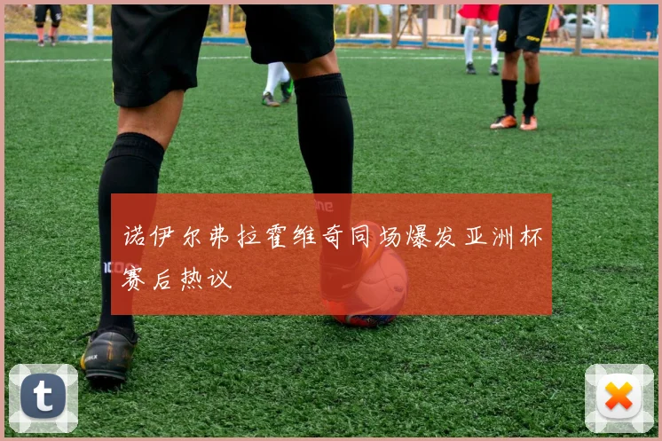 诺伊尔弗拉霍维奇同场爆发亚洲杯赛后热议