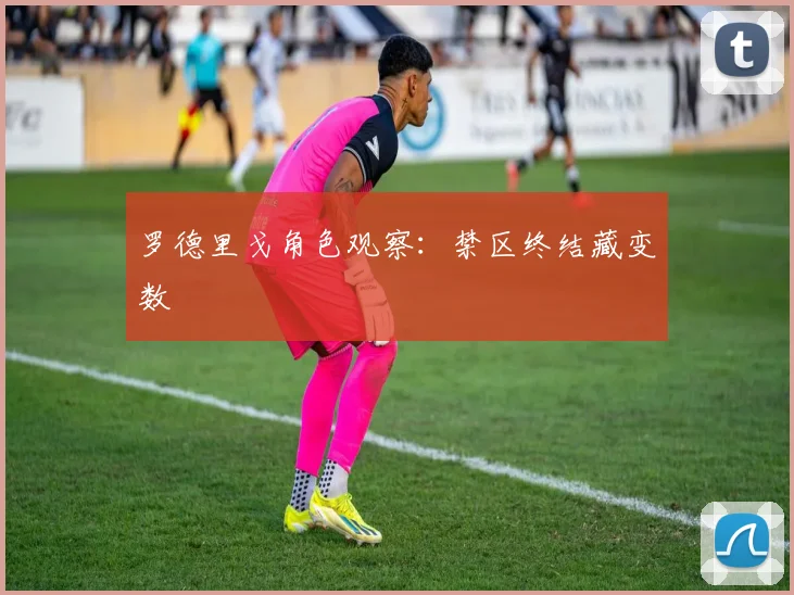 罗德里戈角色观察：禁区终结藏变数
